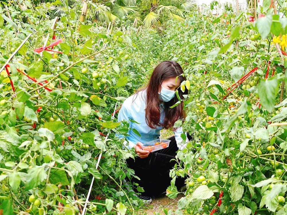 珠海市创沃中等职业学校（原珠海一职实验学校）
