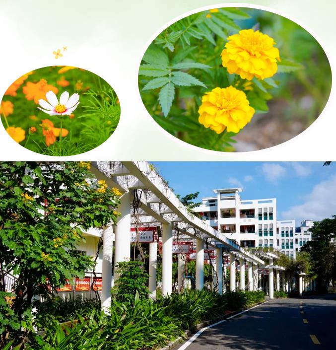 珠海市创沃中等职业学校