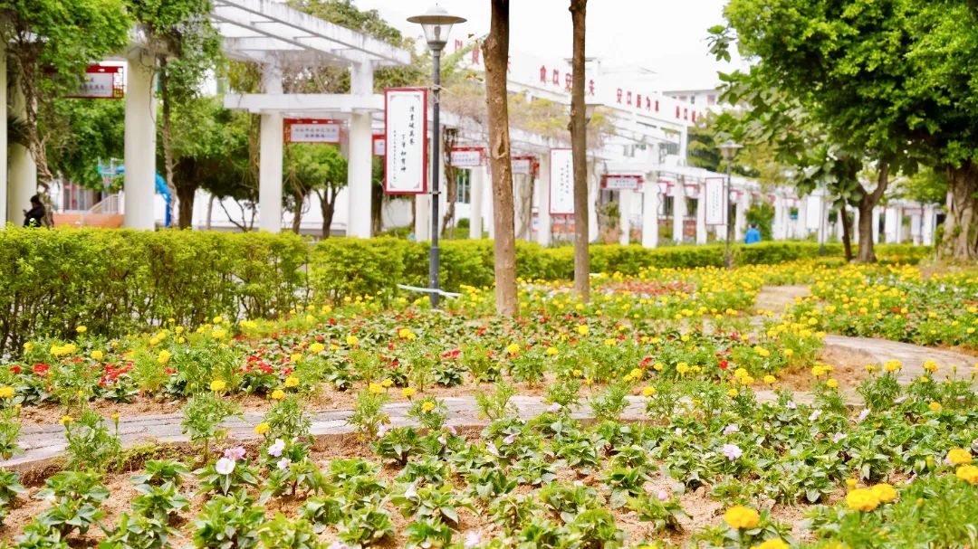 珠海市创沃中等职业学校