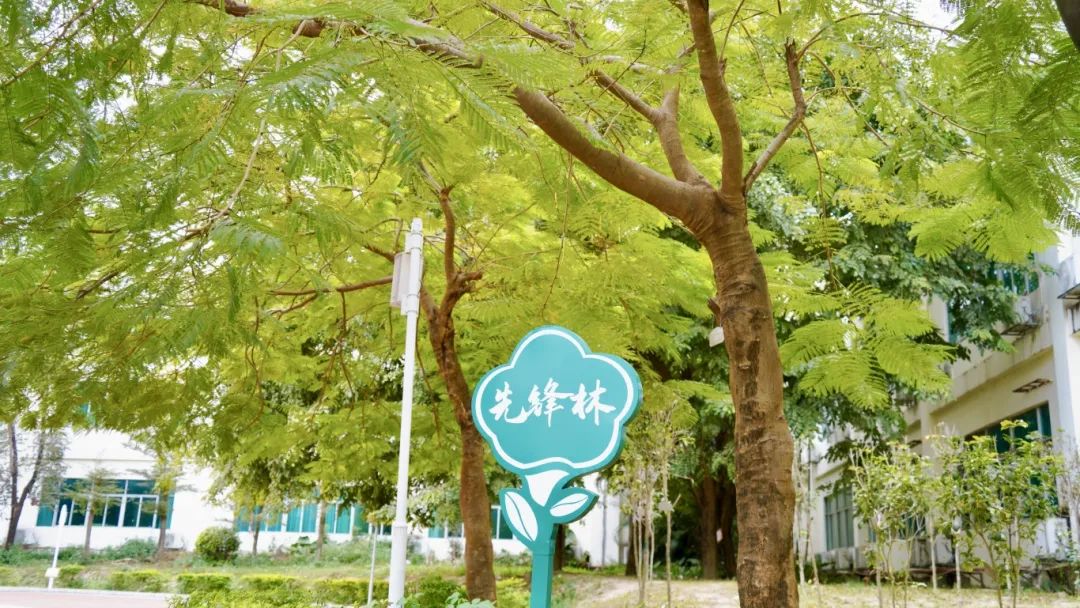 珠海市创沃中等职业学校
